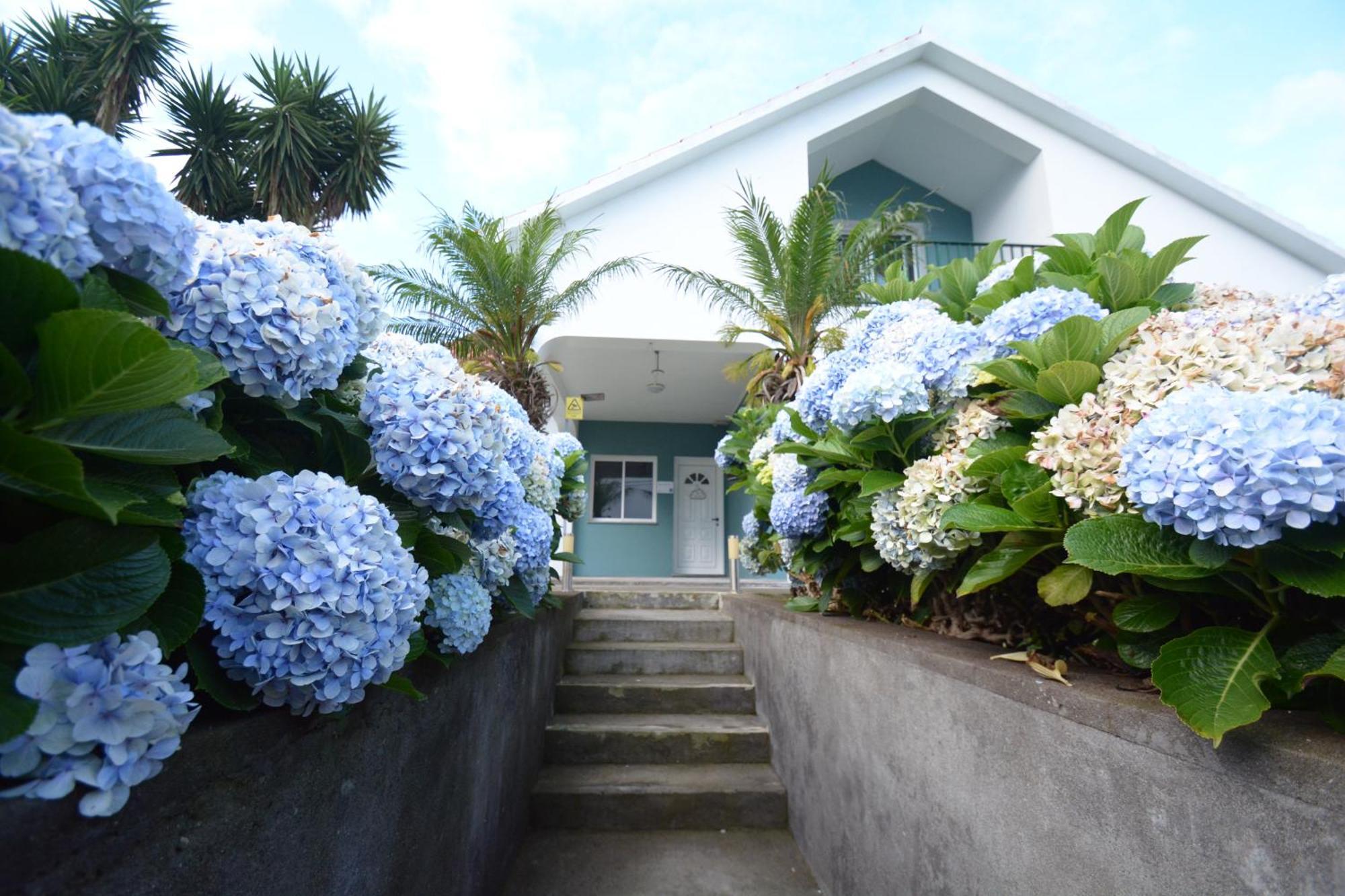 Casinha Das Hortensias Daire Horta  Dış mekan fotoğraf